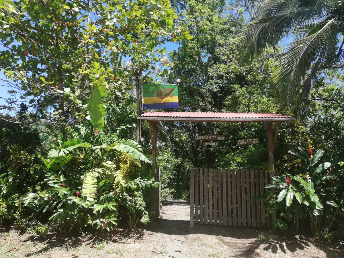 El Valle  La Tarima Del Colibri Ecolodge المظهر الخارجي الصورة