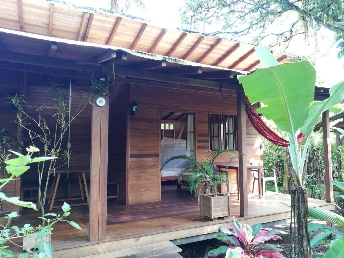 El Valle  La Tarima Del Colibri Ecolodge المظهر الخارجي الصورة