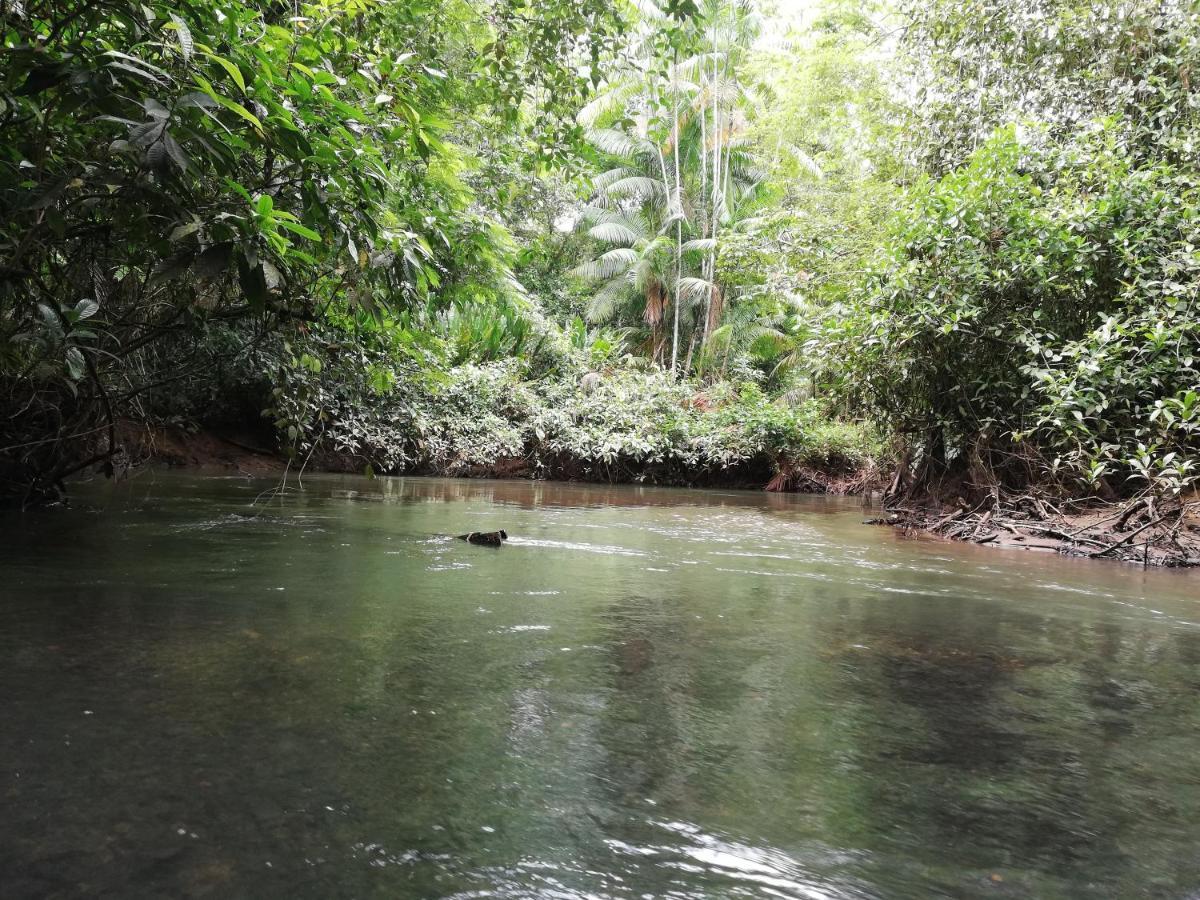El Valle  La Tarima Del Colibri Ecolodge المظهر الخارجي الصورة