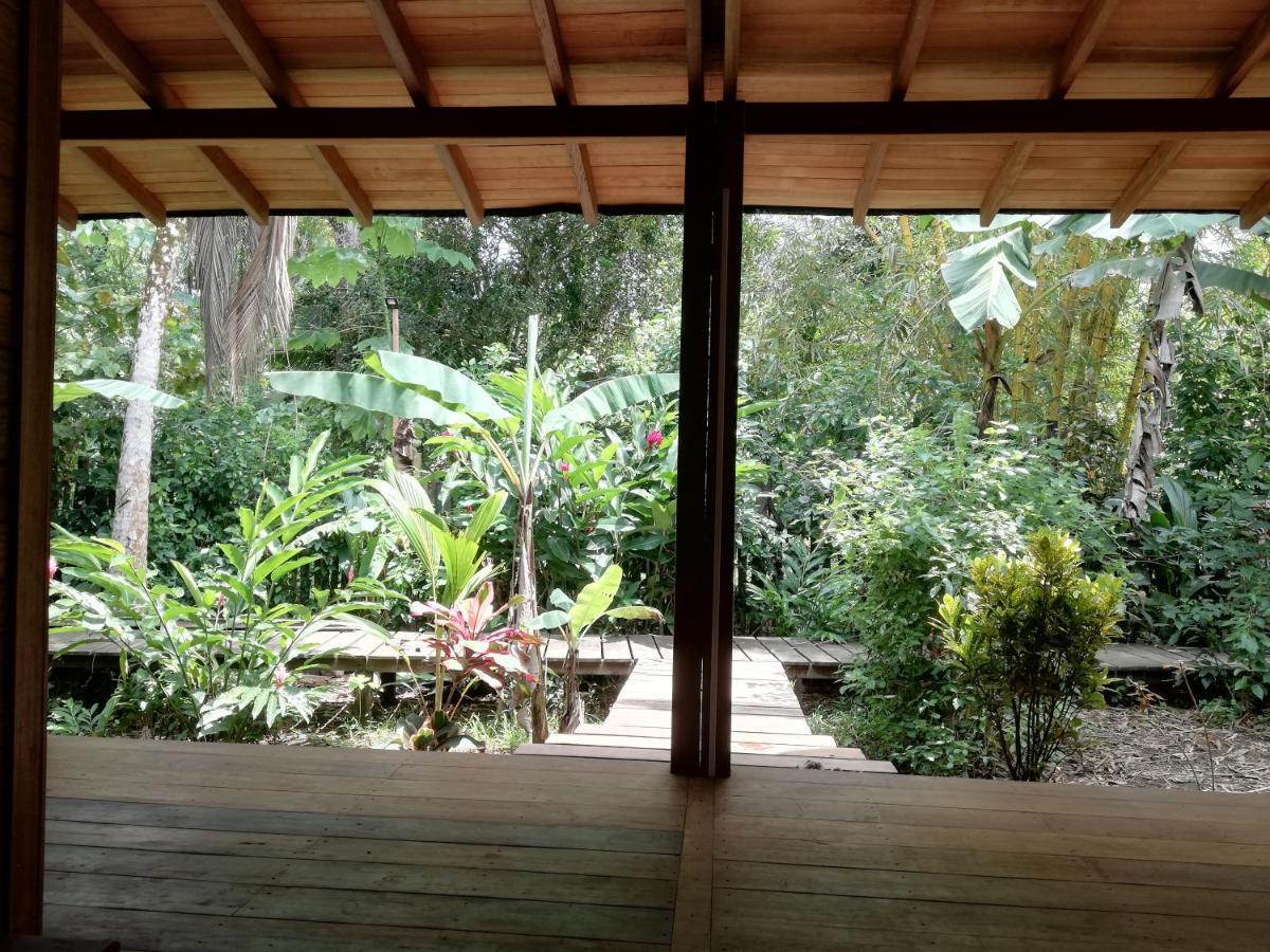 El Valle  La Tarima Del Colibri Ecolodge المظهر الخارجي الصورة