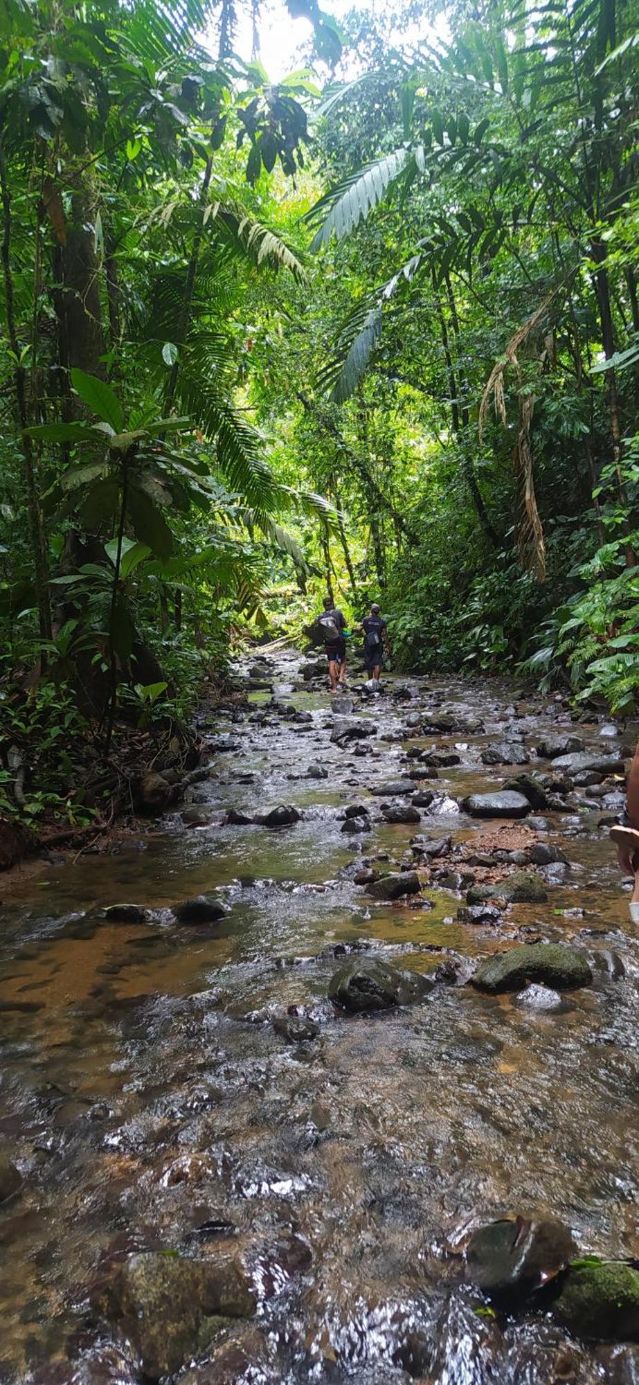 El Valle  La Tarima Del Colibri Ecolodge المظهر الخارجي الصورة