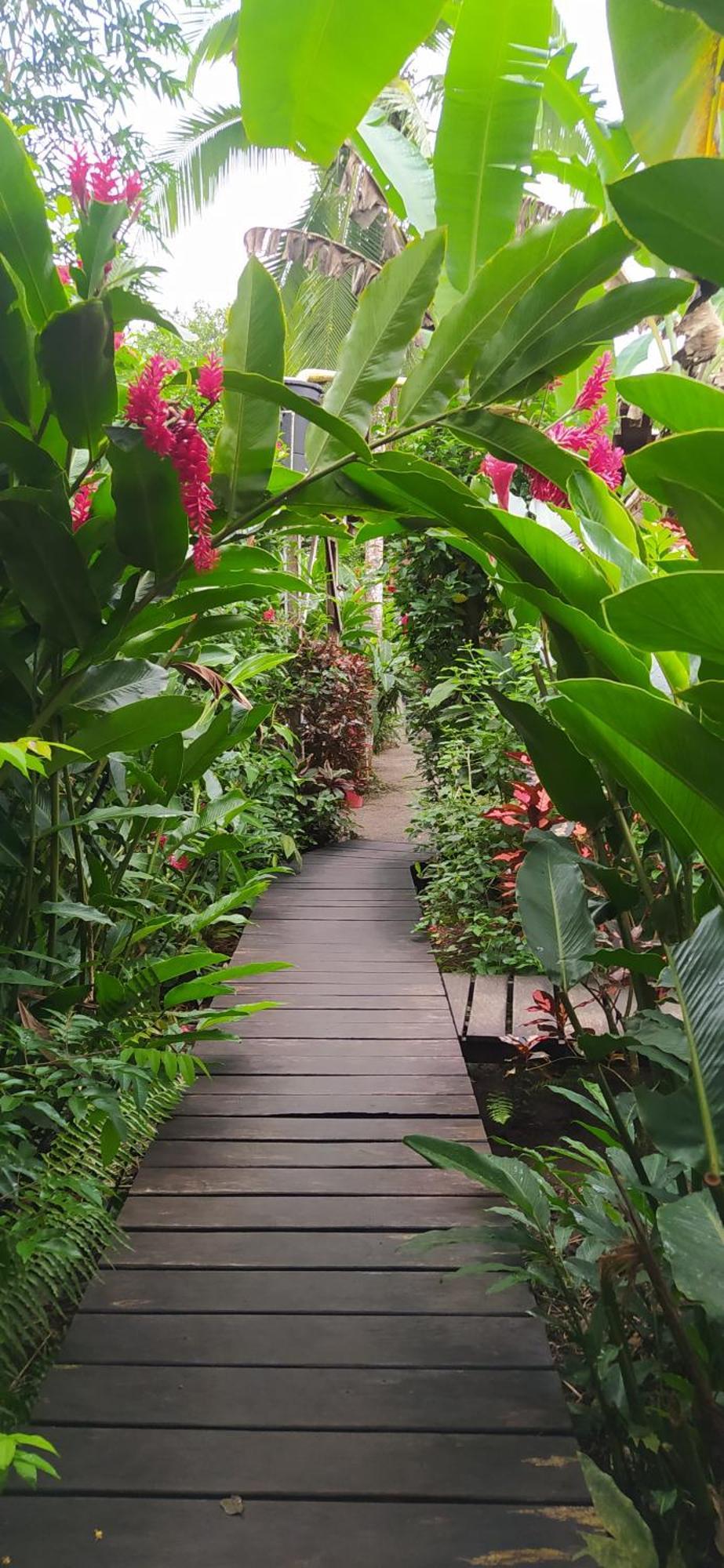 El Valle  La Tarima Del Colibri Ecolodge المظهر الخارجي الصورة