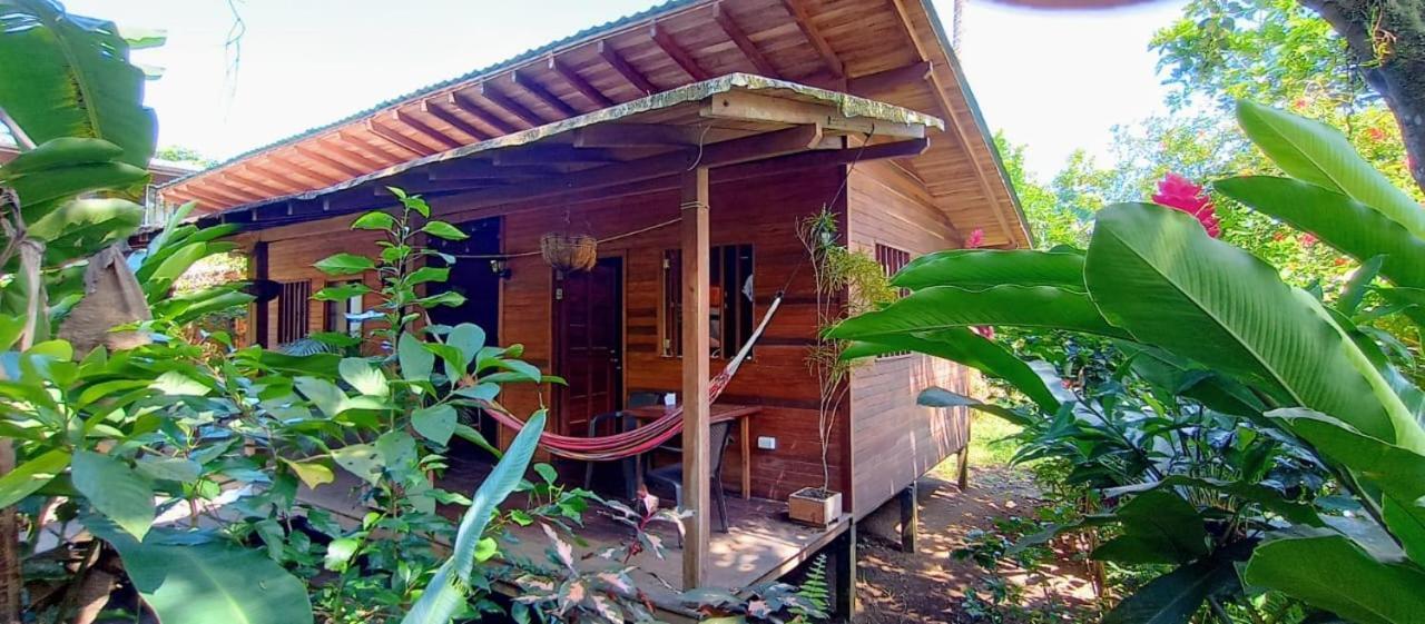 El Valle  La Tarima Del Colibri Ecolodge المظهر الخارجي الصورة