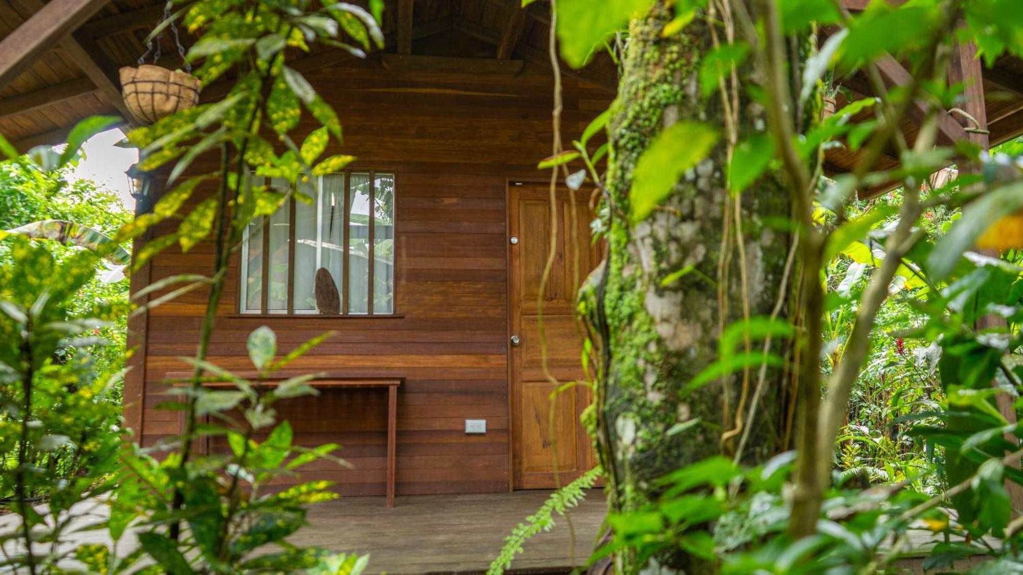 El Valle  La Tarima Del Colibri Ecolodge المظهر الخارجي الصورة