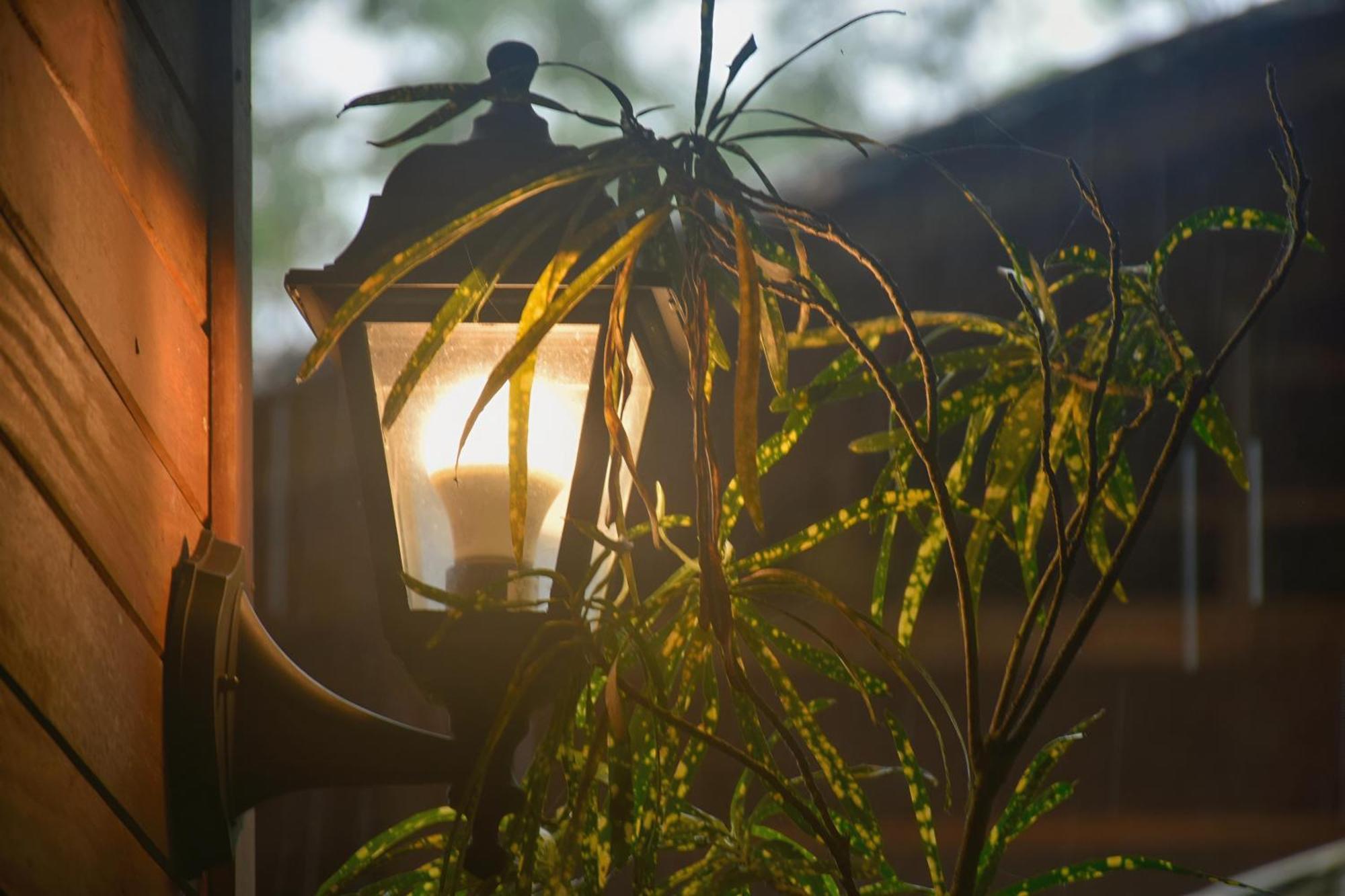 El Valle  La Tarima Del Colibri Ecolodge المظهر الخارجي الصورة