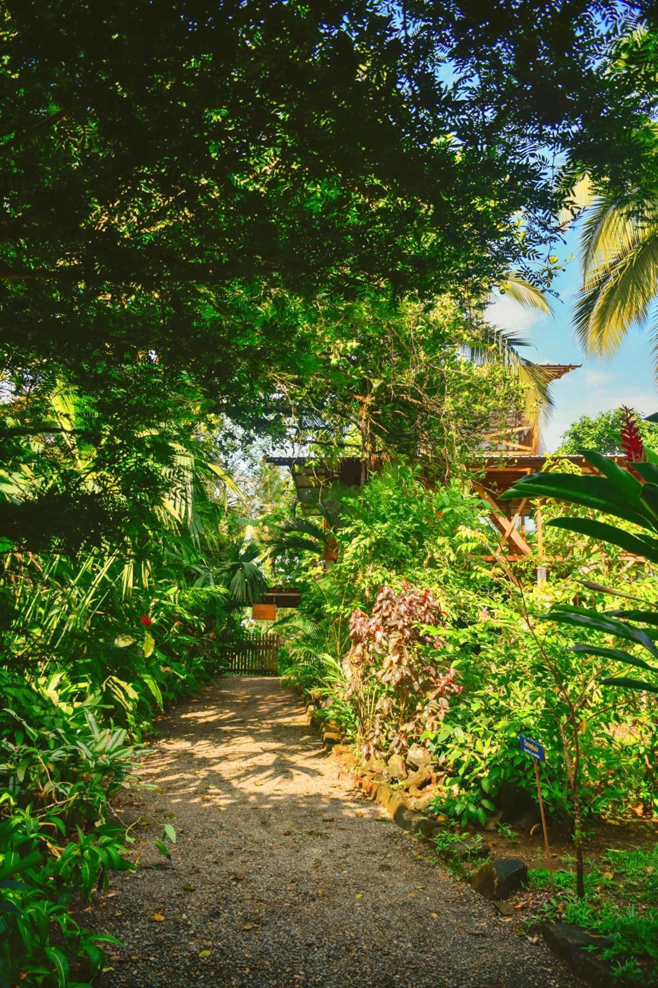 El Valle  La Tarima Del Colibri Ecolodge المظهر الخارجي الصورة