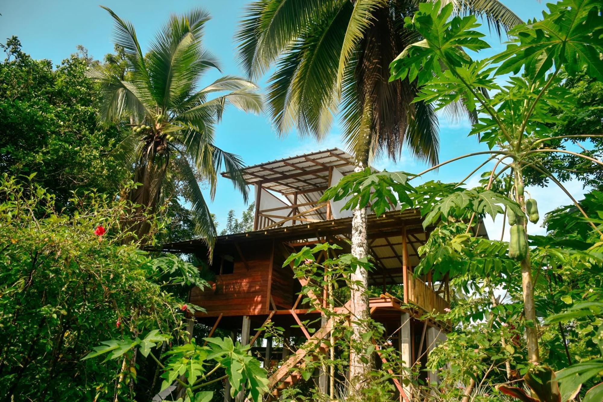 El Valle  La Tarima Del Colibri Ecolodge المظهر الخارجي الصورة